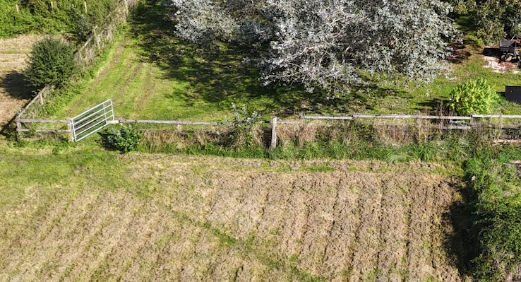 Capture d’écran 2025-02-16 à 15.35.58